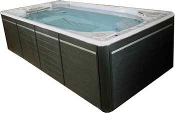 19 EX Executive Trainer Swimspa